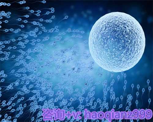 上海权威助孕专家推荐