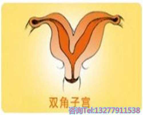 上海合法助孕平台推荐