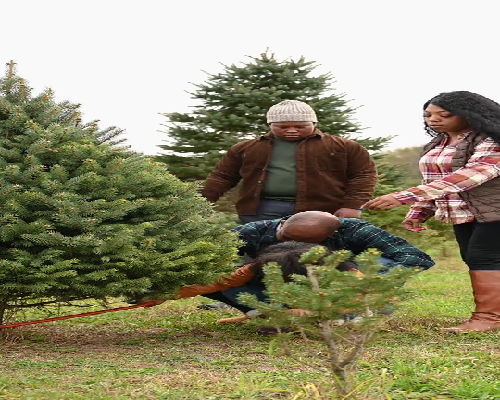 上海靠谱助孕服务平台